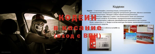 дживик Абаза
