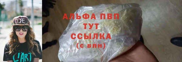 дживик Абаза