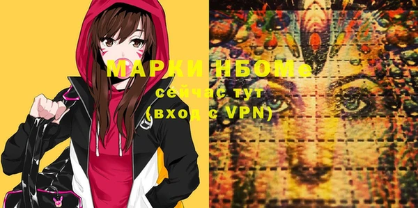 индика Покачи