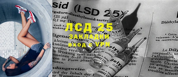 индика Покачи