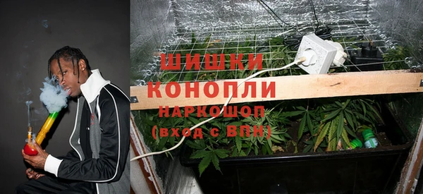 прущий лед Алзамай