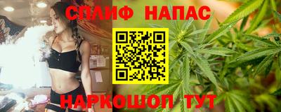 СК Пенза